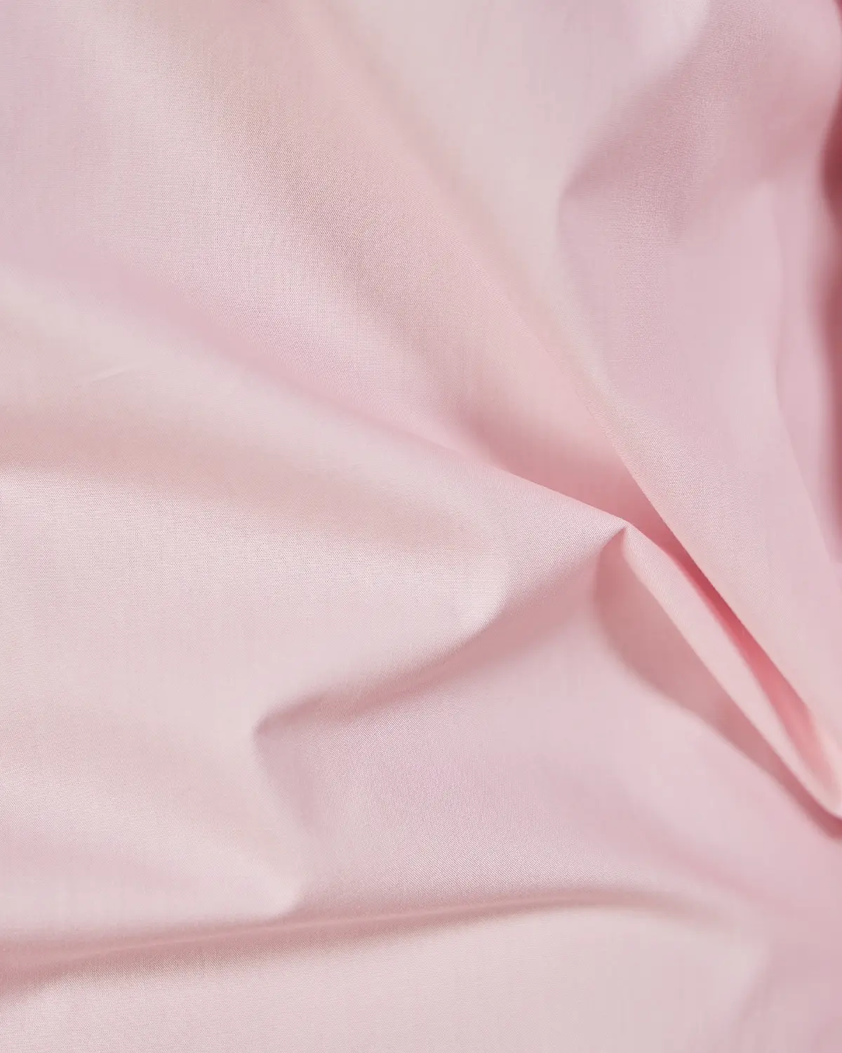 Pearl Pink Cotton Poplin Shirt - Image 5